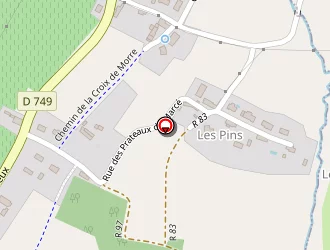 Carte de Tribut Frédéric à Bourgueil