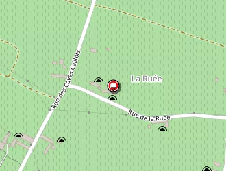 Carte de Desbois Didier à Benais