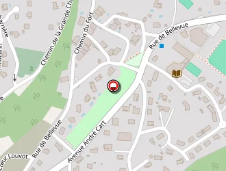 Carte de Cornet Jean à Châtillon-le-duc