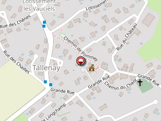 Carte de Pelletier Patrick à Tallenay