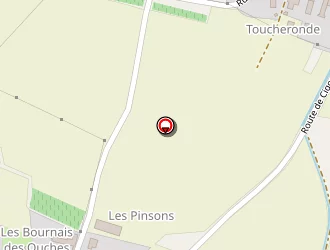 Carte de Dalençon Dominique à Bléré