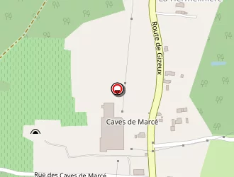 Carte de Loiseau Bernard à Bourgueil