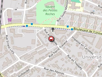 Carte de Surplus Militaire Shot Gun à Dijon