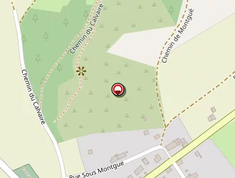 Carte de Riolino Marcel à Asnan