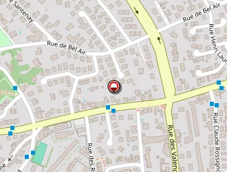 Carte de Leveque Olivier à Dijon