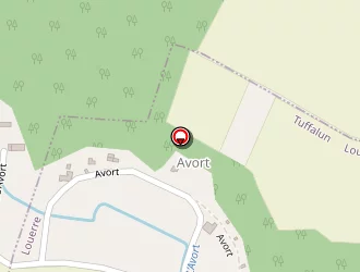 Carte de Tilleul Menthe à Louerre