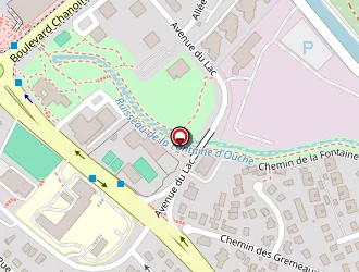 Carte de Leslie Paul à Dijon