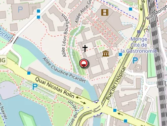 Carte de Rent A Car Azl à Dijon