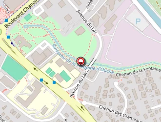 Carte de Ferreira Da Silva Manuela à Dijon