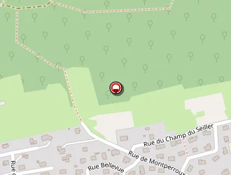 Carte de Gauffre Marcel à Roulans