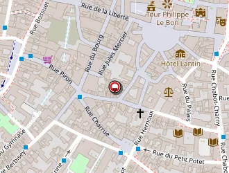 Carte de Anceau Hubert à Dijon