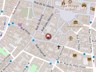 Carte de Mureddu Katia à Dijon