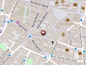 Carte de The Paradise à Dijon