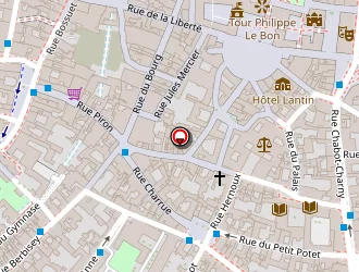 Carte de Delon Annie à Dijon