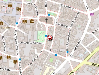 Carte de Manceau Eric à Dijon