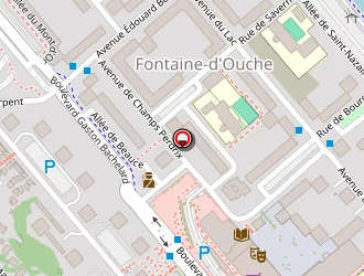 Carte de Puce & Lou à Dijon