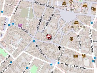 Carte de Jaffelin Charles à Dijon