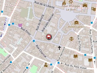 Carte de Pharmacie Centrale (snc) à Dijon