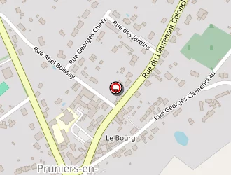 Carte de La Poste à Pruniers-en-sologne