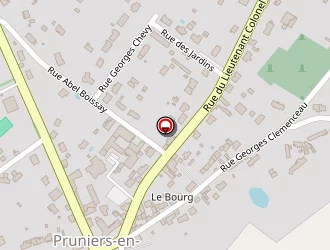 Carte de Leroy Eric à Pruniers-en-sologne