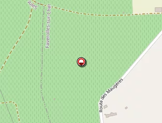 Carte de Domaine De La Chapelle à Faverolles-sur-cher