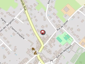 Carte de Vincent Jocelyne à Pin