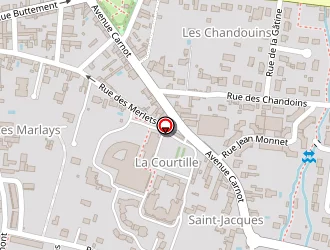 Carte de Coupigny Géraldine à Bléré