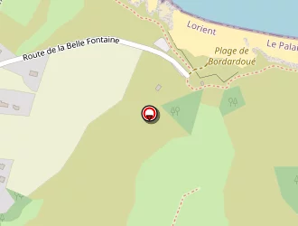 Carte de Verspeelt Yvan à Palais (le)