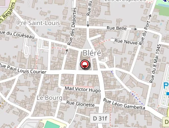 Carte de Delhommel Bruno à Bléré