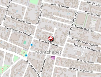 Carte de Douane-direction Interrégionale De Dijon à Dijon