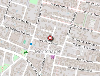 Carte de Laurent Aude à Dijon