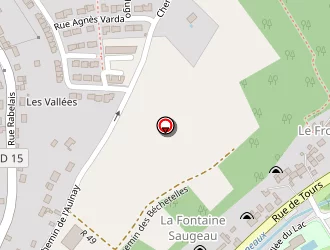 Carte de Lassure Rodolphe à Langeais