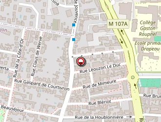 Carte de Securitest Ctaf à Dijon