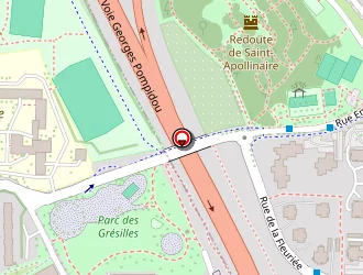 Carte de Flamand Neal à Dijon