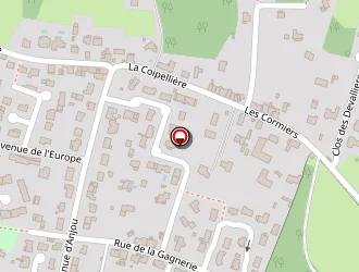 Carte de Complexe Sportif G. Sailly à Champtoceaux