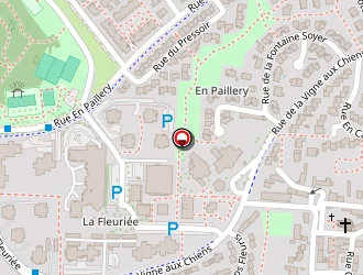 Carte de Oyana à Saint-apollinaire