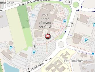 Carte de Bonnin Brice à Chambray-lès-tours