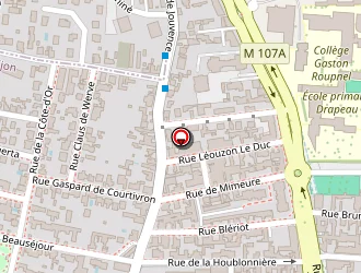 Carte de Pizza Le Chat Gris à Dijon