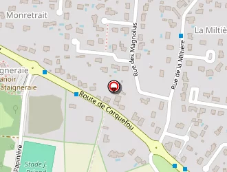 Carte de Conseils En Intelligence à Sucé-sur-erdre