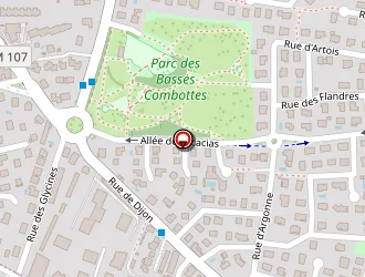 Carte de Salim Radouane à Dijon