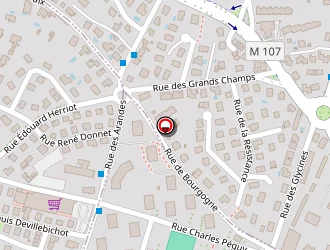 Carte de Falconi'x Drone à Talant