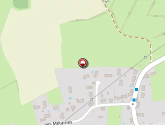 Carte de Collet Alain à Savonnières