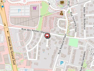 Carte de Dimba Lau Sylvie à Chambray-lès-tours