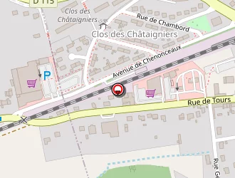 Carte de Maga à Montrichard