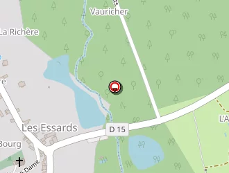 Carte de Chateau Des Essards à Essards (les)