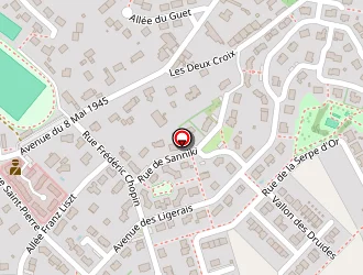 Carte de Badier Marcel à Chalonnes-sur-loire