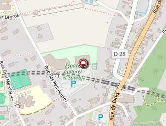 Carte de Carrefour Express à Montrichard