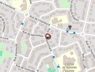 Carte de Gymnase à Joué-lès-tours