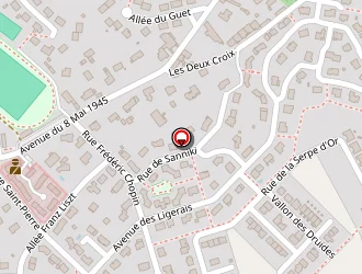 Carte de Delta Be à Chalonnes-sur-loire