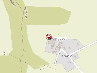 Carte de Le Clech Patrick à Palais (le)